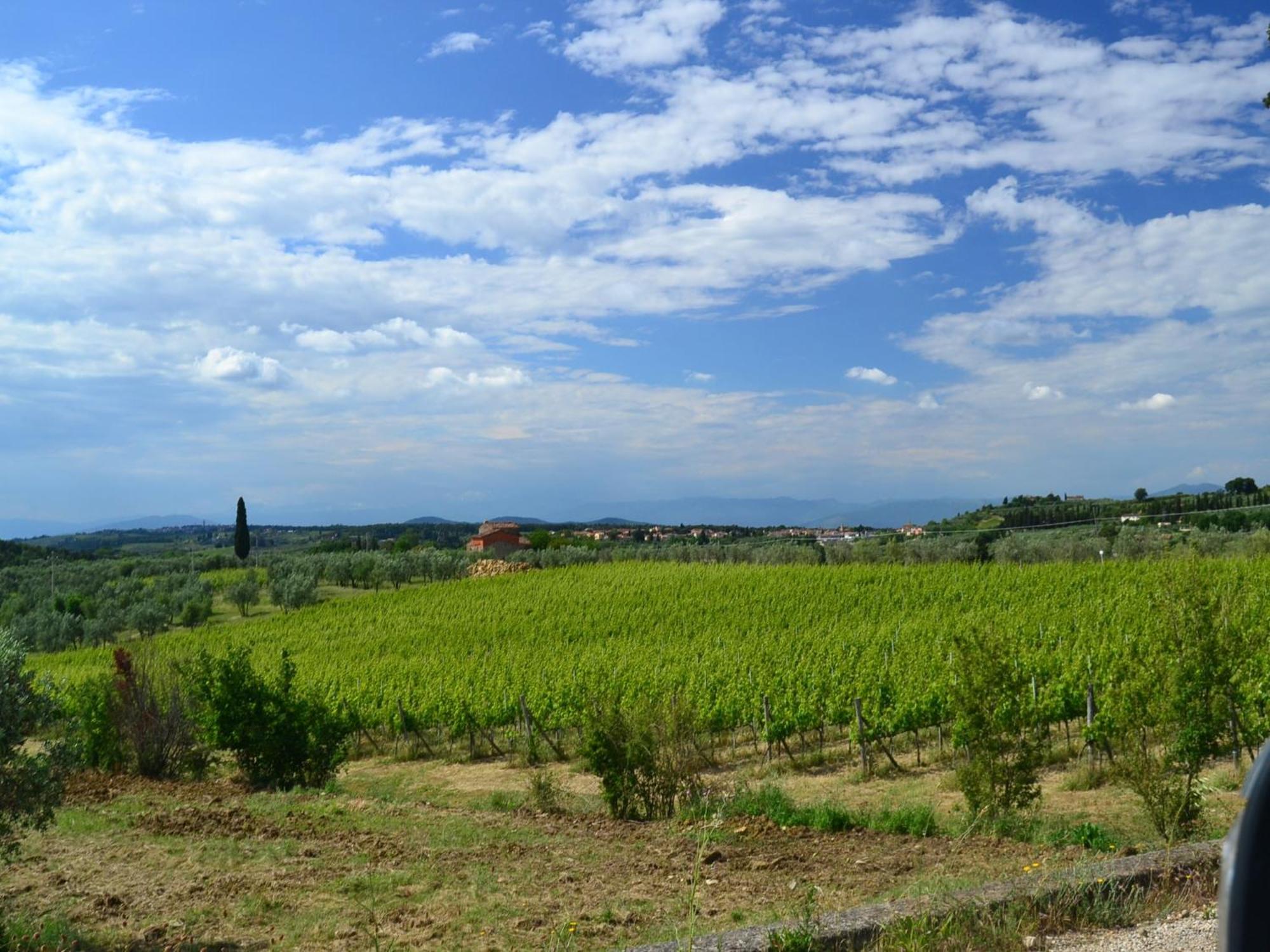 Lovely Holiday Home In Montefiridolfi With Hill View Exterior foto