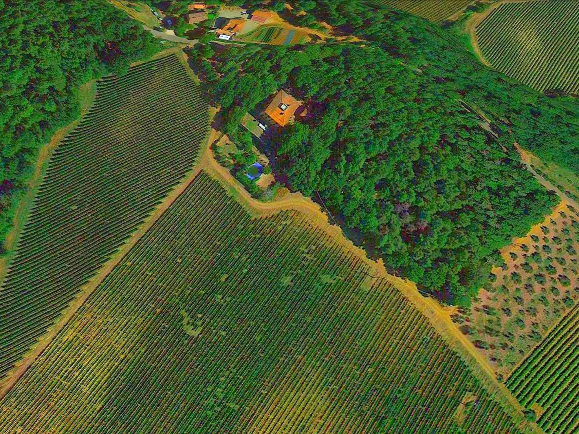 Lovely Holiday Home In Montefiridolfi With Hill View Exterior foto